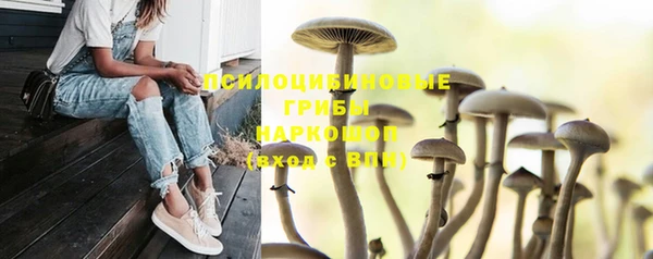 ПСИЛОЦИБИНОВЫЕ ГРИБЫ Алексеевка
