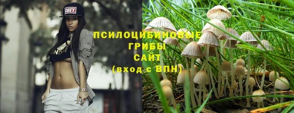 ПСИЛОЦИБИНОВЫЕ ГРИБЫ Алексеевка