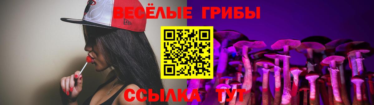 Кропоткин  Галлюциногенные грибы Psilocybe  Вход с VPN 